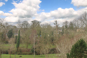 Photo 1- click for photo gallery